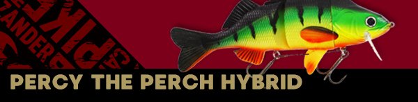 Percy the Perch Hybrid