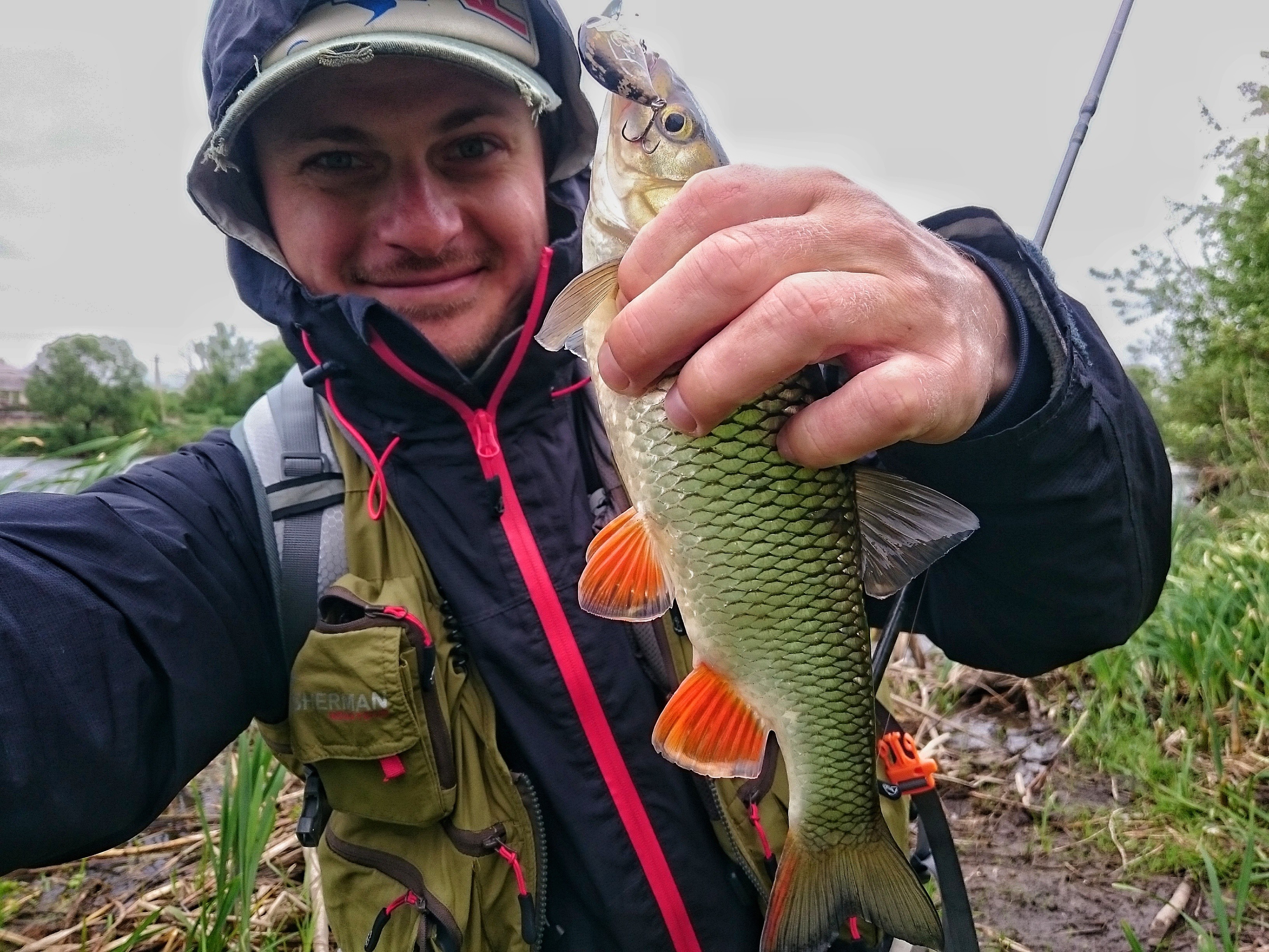 Весенний голавль. Воблер минноу или кренк?