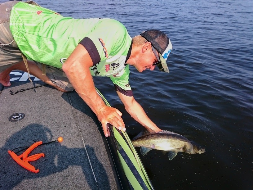 Пятерка моих лучших кренков для щуки и судака