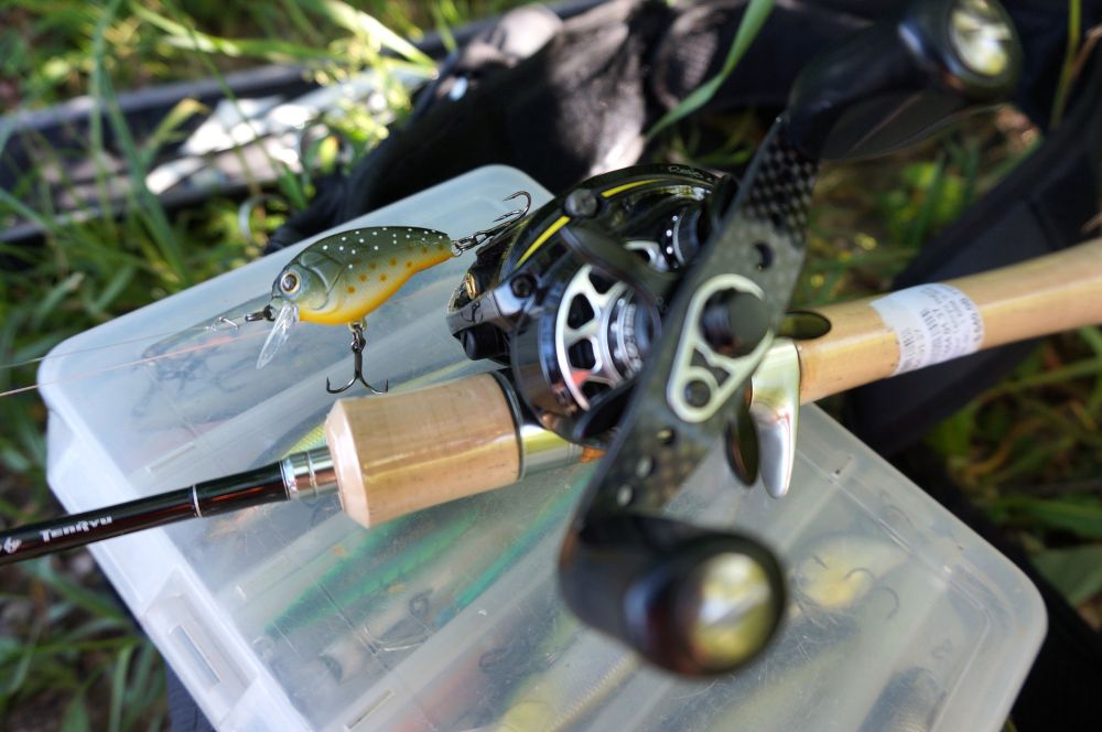 Мультипликаторы. Битва малышей с буратинами.