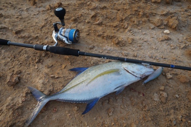 Прибрежная ловля блюфинов в Судане