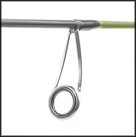 Finetail ring.jpg Finetail ring.jpg